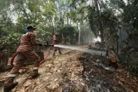 Firefighters, Klang council contain spreading wildfire