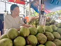 Heat lifts coconut sales, but not by much