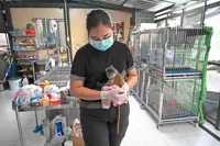 An uphill hunt for wildlife traffickers