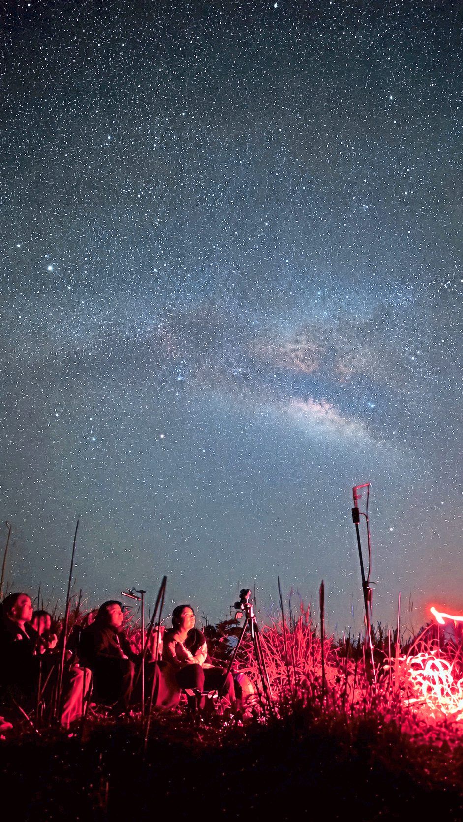 The night sky shining with stars above Bukit Sematan Resort.