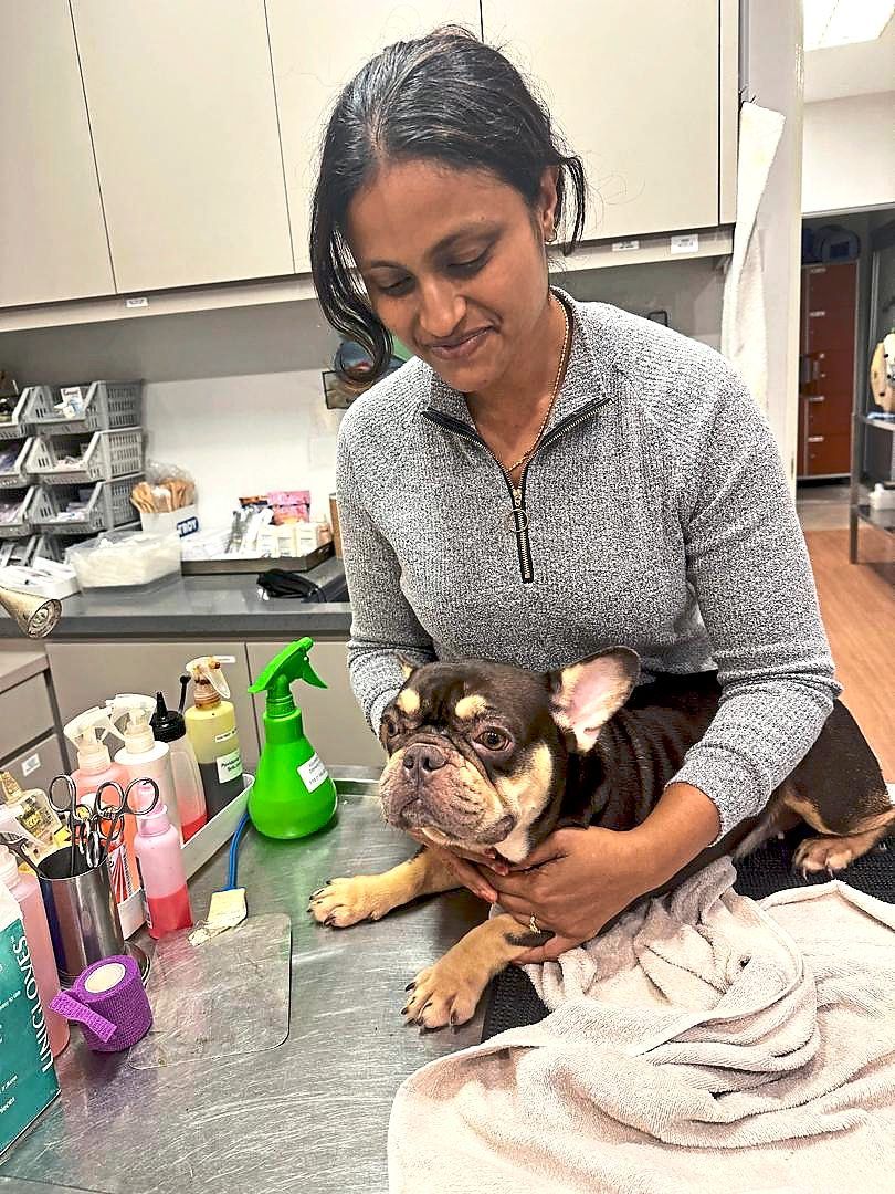 Dr Yabitha has helped rescue, treat, care for and rehome hundreds of animals.