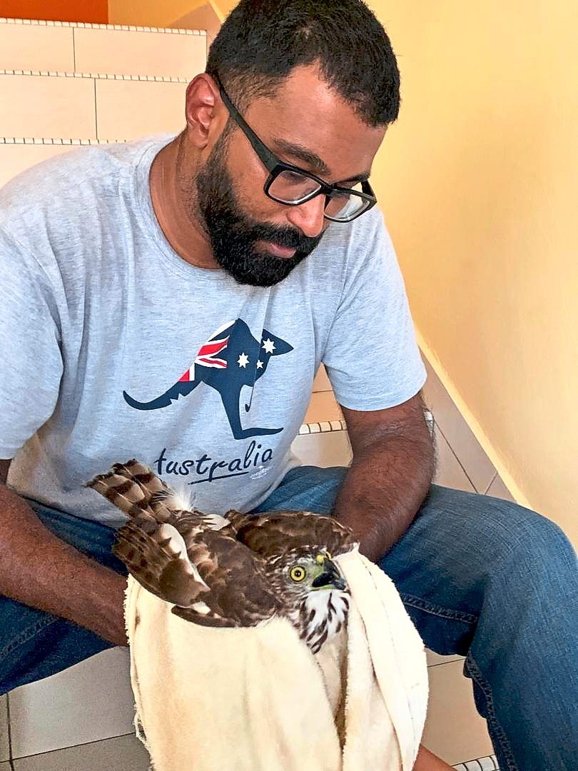 Dr Ramanand holding a hawk his wife picked up from a busy road. — Photos courtesy of DR YABITHA VASAVAN