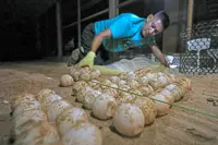 ‘Turtle Lady’ wins Merdeka Award