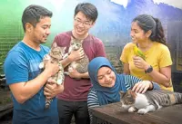 Opening hearts to animals in distress