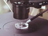 Legal uncertainty adds another hurdle to conceiving