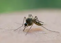 El Nino and its impact on dengue outbreaks