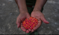 Myanmar police seize over 300,000 stimulant tablets