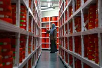 Finas safeguards the nation’s visual heritage through the revival of archives