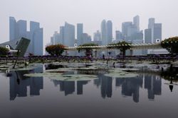 Transboundary haze reaches southern Vietnam as Singapore's central region turns unhealthy