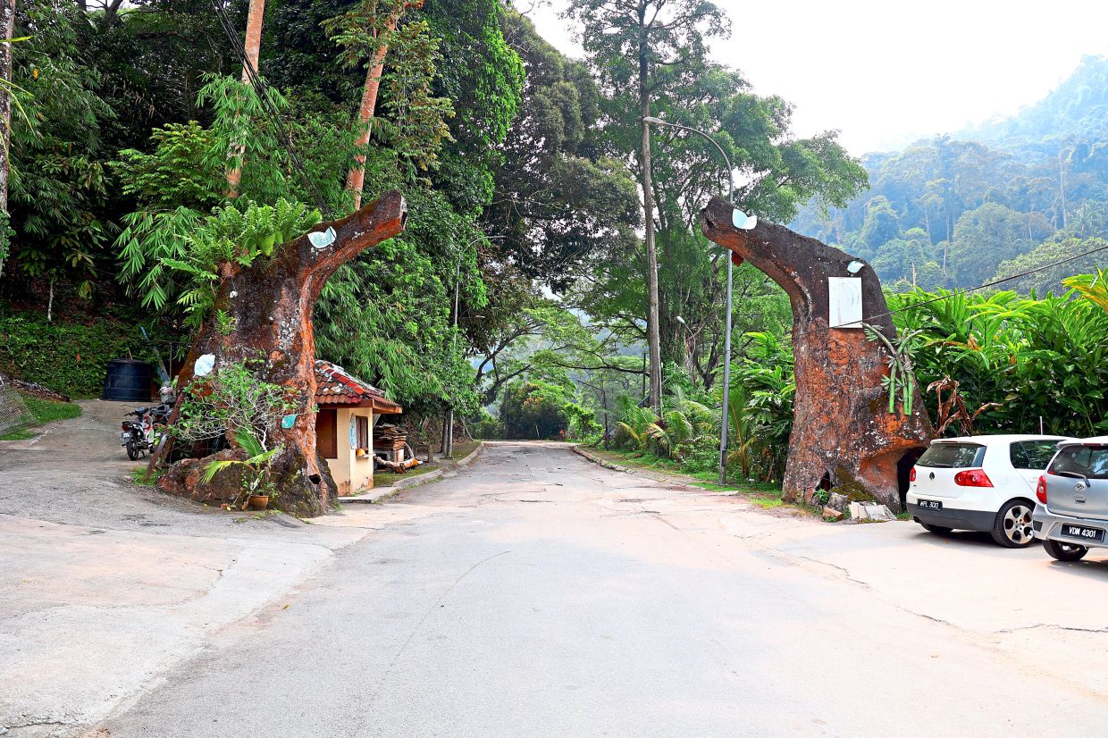 Now damaged and disconnected, this archway once marked the entrance to the forest park that served nearby communities with a much-needed recreational space.