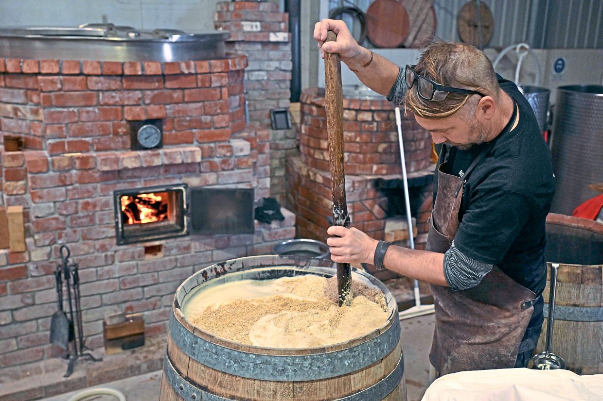 After feeding leftover grain residue from the brewing process to camels, Biezaitis collects the dung to be used as fuel to smoke malted barley to make beer, including a porter called Holy Smokes, in the South Australian town of Robe. — AFP