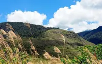 Urgent steps needed to protect water catchment area in Ranau, says Sabah STAR