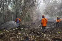 Indonesia records 1,437 hotspots as transboundary haze persists