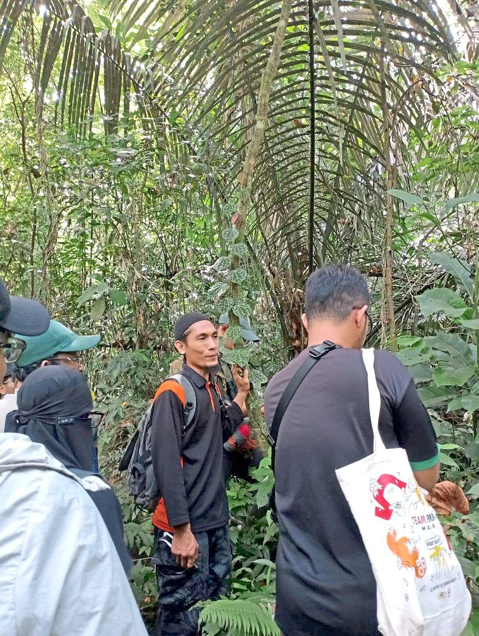 Syed Elyas spent nearly 20 years collecting various samples of local herbs in an effort to preserve local medicinal plants for future generations.