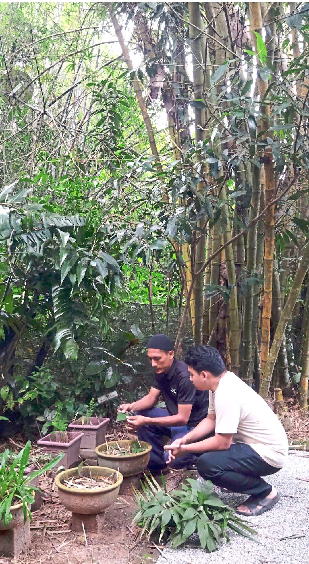 Given that knowledge about local medicinal and edible herbs has declined over the years, Syed Elyas (in black) is on a mission to educate more Malaysians about local medicinal plants.