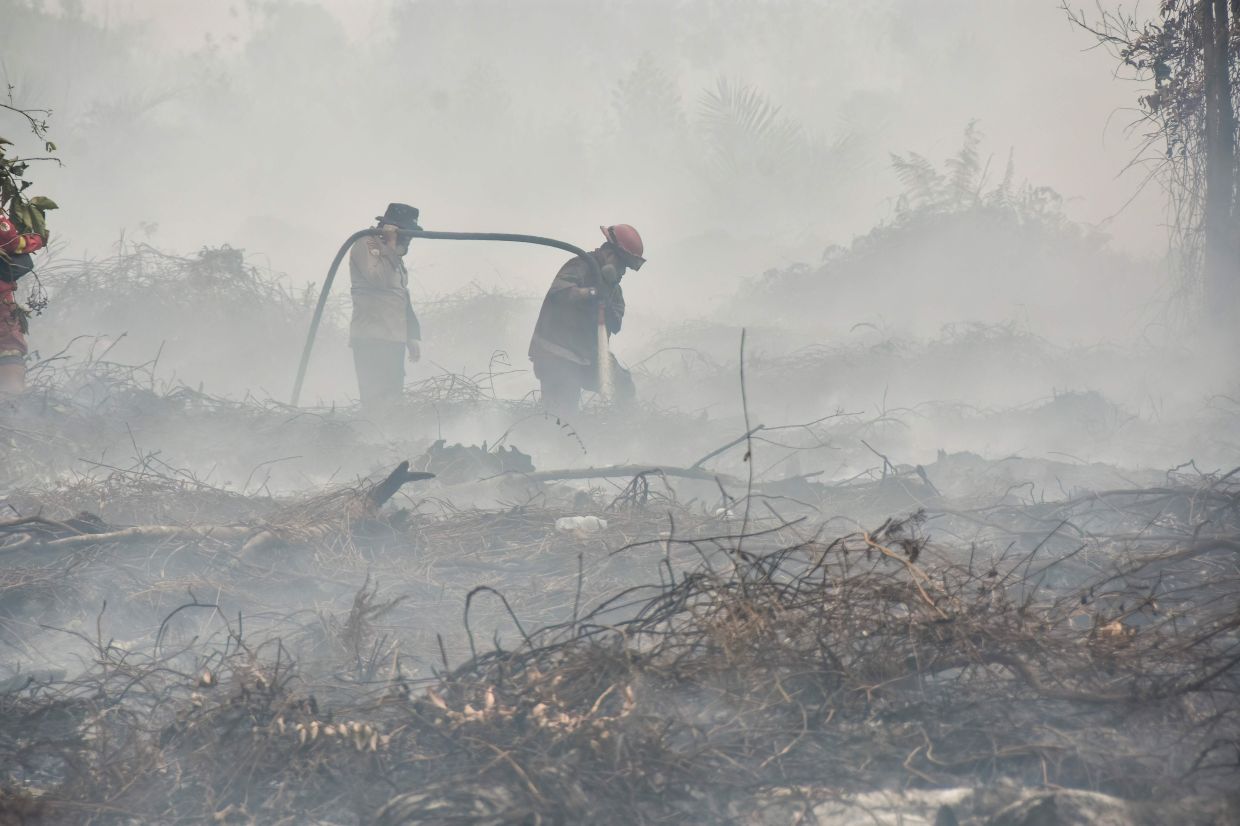 'Breathing toxin every day': Indonesians choked by haze feel helpless