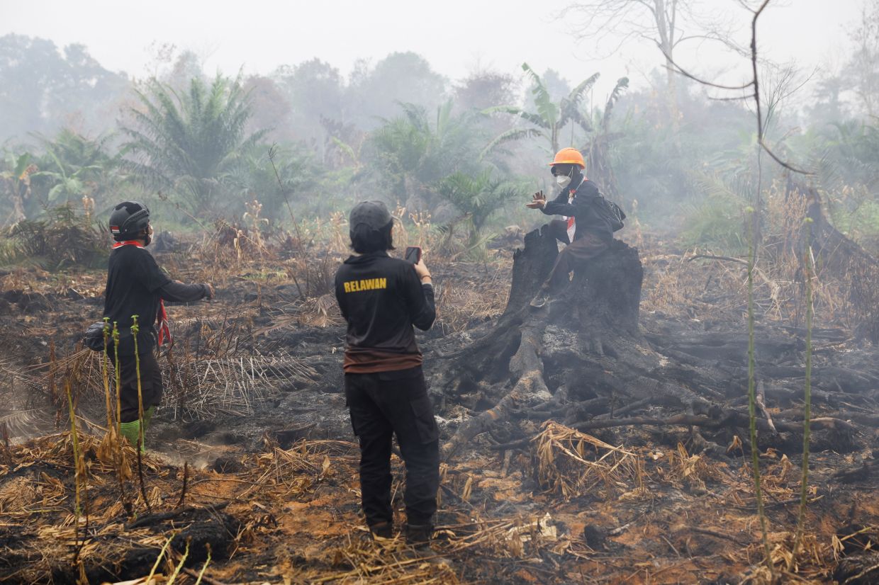 Volunteers stand in a peatland area burnt by wildfires, in Kubu Raya, West Kalimantan province, Indonesia, Sept 15, 2026. - Photo: Reuters