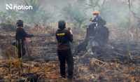 Thailand monitors wind direction as Indonesia fires burn over 64,000 hectares in a week
