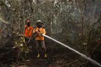 Indonesia seals 50 companies over forest, land fire hotspots