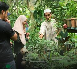 This Malaysian engineer collected and grew over 1,000 local herbs over 20 years