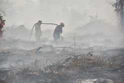 'Breathing toxin every day': Indonesians choked by haze feel helpless