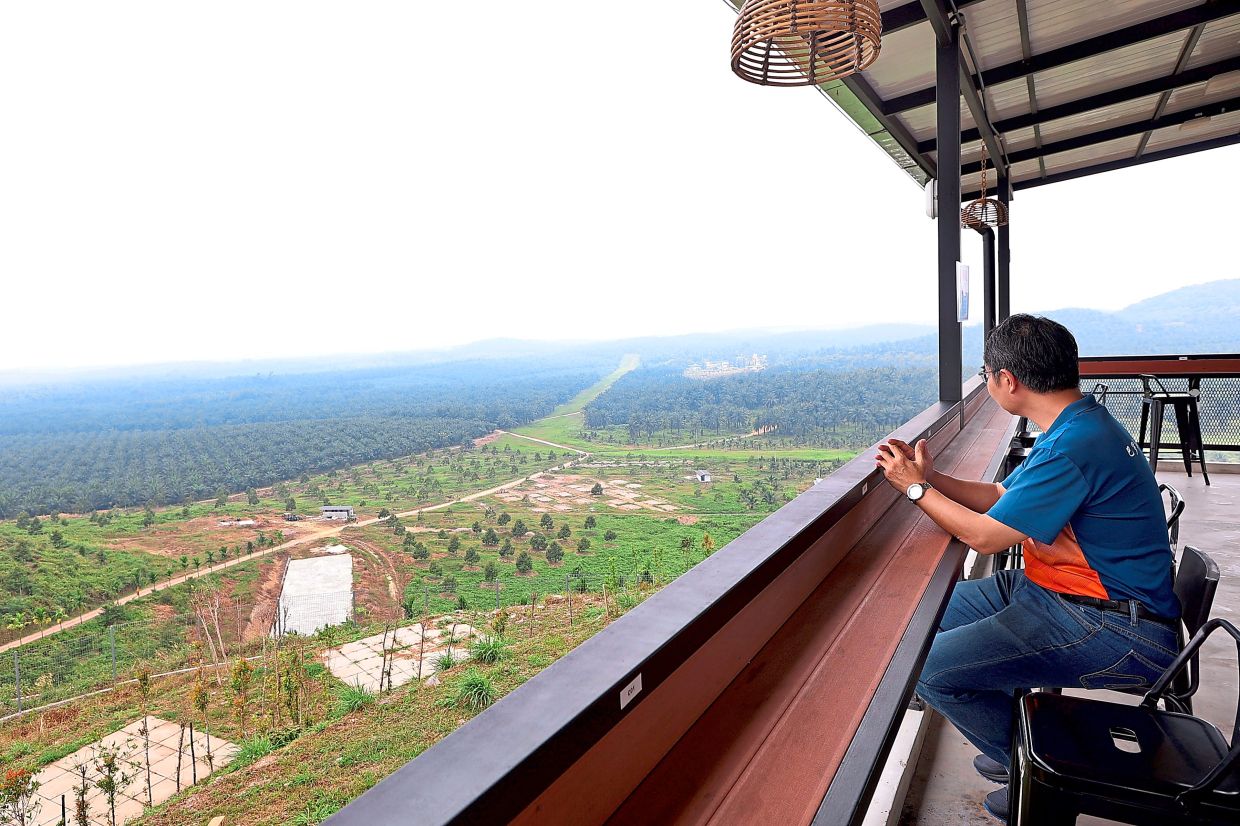 The beautiful scenery at the newly opened Big Bean Farm in Paloh.