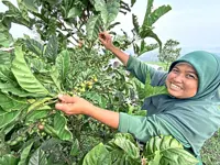 Paloh paves the way for coffee tourism