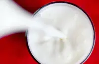 Things to consider before switching to plant-based milk for kids