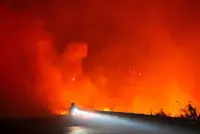 Indonesia president calls for stricter sanctions against forest fire perpetrators
