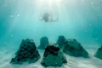 In the Maldives, AI is helping to rebuild beaches lost to rising seas