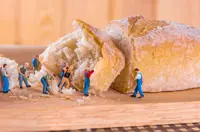 Curious Cook: Lessons in structure