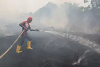 Haze: Malaysia offers bombardier aircraft, assets to Indonesia to tackle forest fires