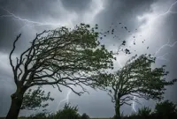 Thunderstorms, heavy rain forecast for eight states, Labuan until noon