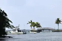 Search called off for two missing divers in Palau, including 62-year-old Singaporean: Report