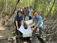 Thousands of mangrove crabs released into KK wetland to mitigate ecological pressure