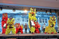Nanyang cultural heritage roars to life on stage