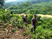 NGOs join villagers in search for missing 74-year-old man