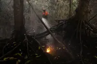 Indigenous, civil-society groups sue Prabowo over forest fire response