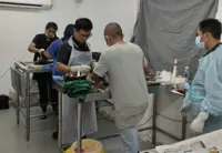 Fewer unwanted puppies, one surgery at a time in joint effort by Sabah DVS, Sandakan SPCA