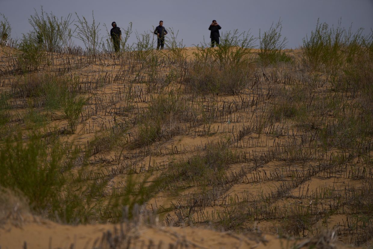 Men stand on top of a sand dune covered by a grass checkerboard.