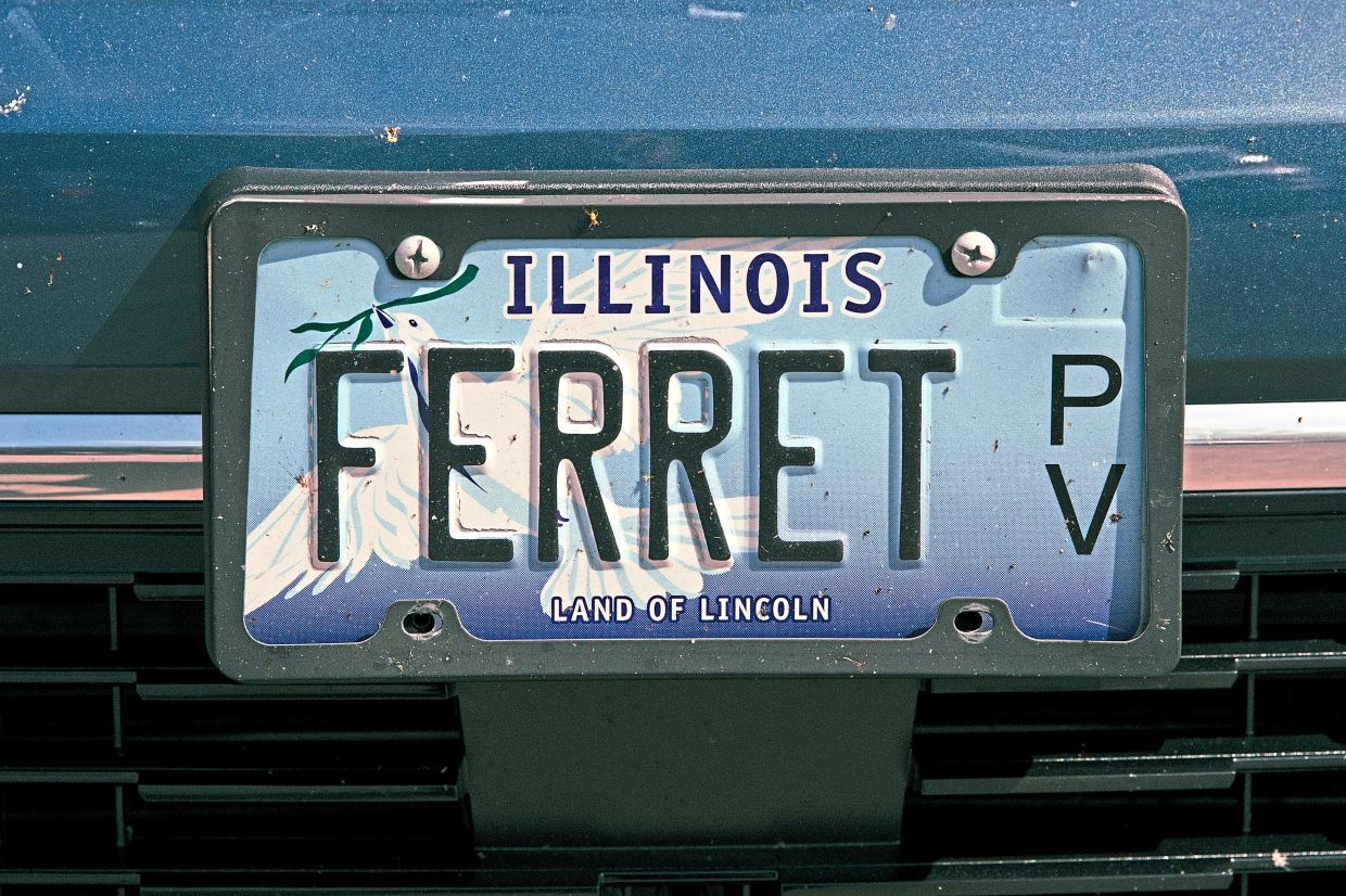A ferret vanity license plate is seen at the show.