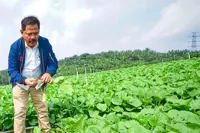 Boosting food supply in Johor