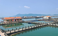 Fujian aquaculture model offers lessons for Cambodia, Asean