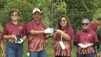 Nearly one million trees planted in Kinabatangan restoration effort
