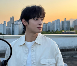 Woman in her 50s booked over alleged eavesdropping on Cha Eun-woo's private conversations