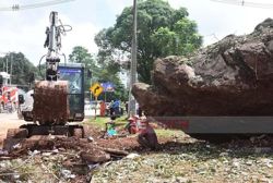 Giant boulder rolls down mountain in Myanmar's Shan State, damaging building and two vehicles
