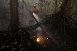 Indigenous Kalimantan people sue Indonesian govt over wildfire negligence