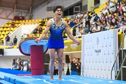 Gymnast Sharul vaults his way to Asiad final