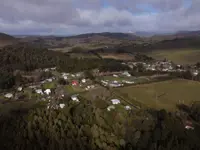 A carbon-credit land rush is hollowing out New Zealand farm country