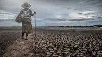WMO: 2025 among driest years for global rivers in 35 years